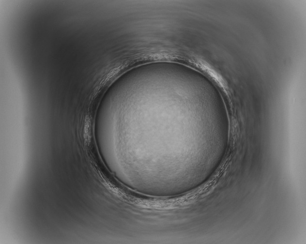 X0000116060009200911271252