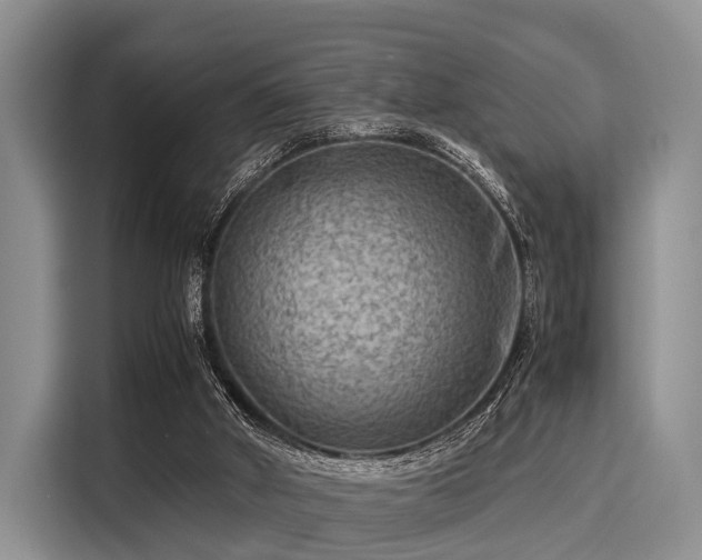 X0000116060010200911271252