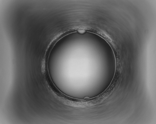 X0000116060012200911271252