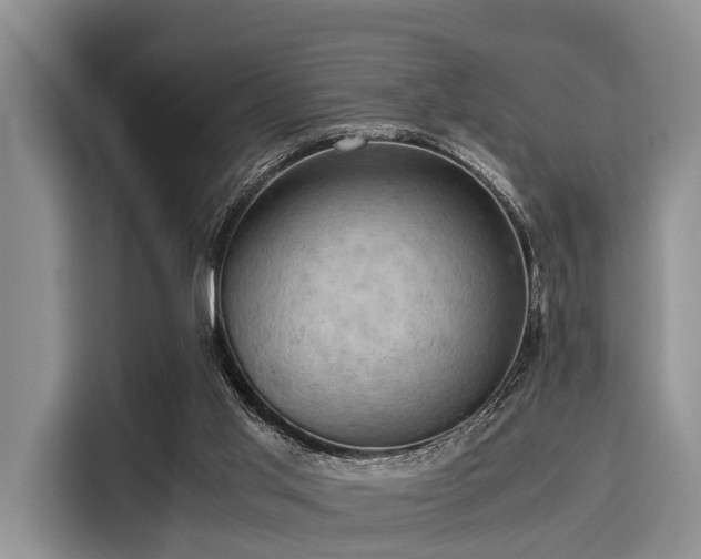 X0000116060013200911271252