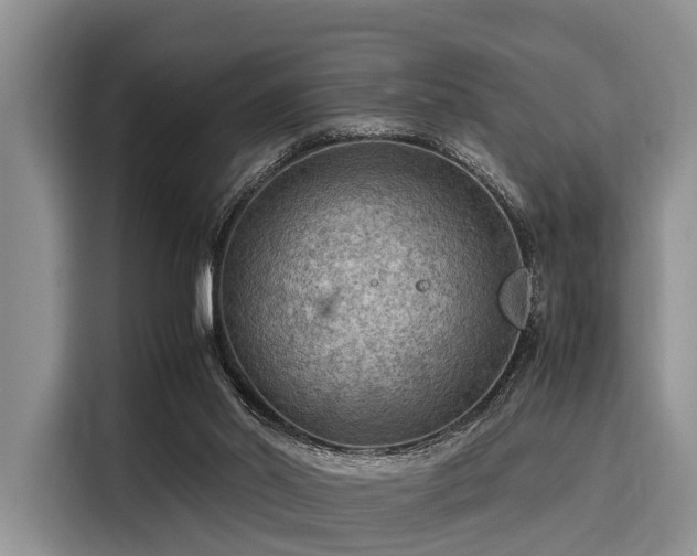 X0000116060014200911271252