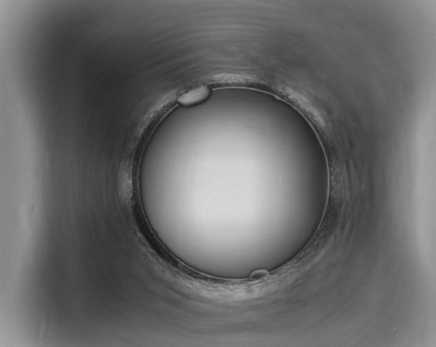 X0000116060015200911271252
