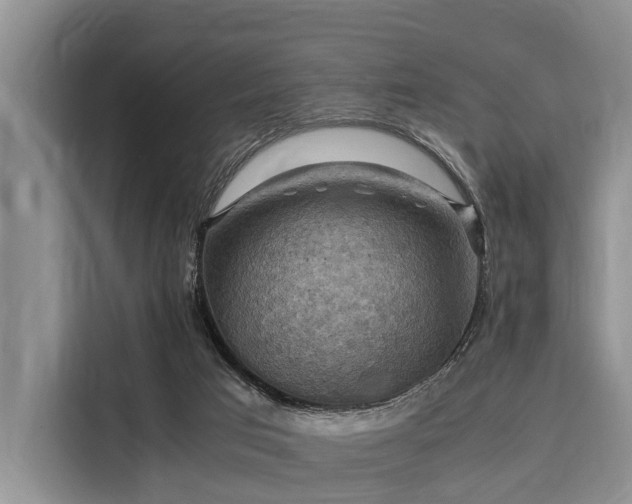 X0000116060017200911271252