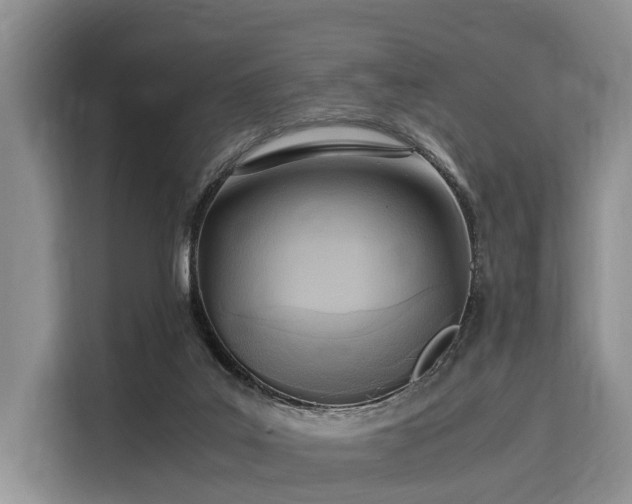 X0000116060019200911271252
