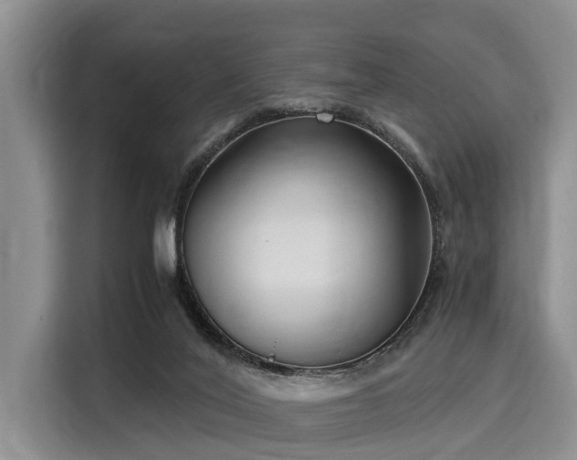 X0000116060020200911271252