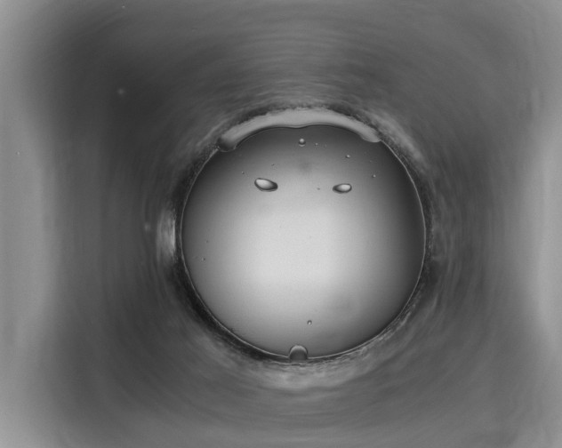 X0000116060021200911271252