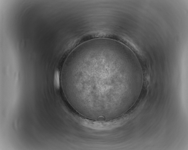 X0000116060022200911271252