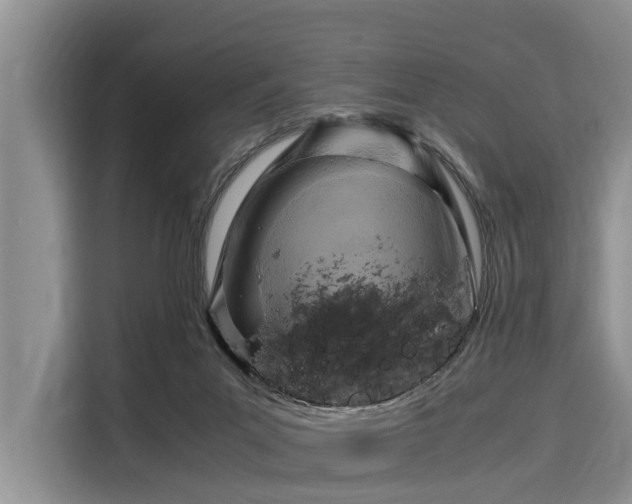 X0000116060023200911271252
