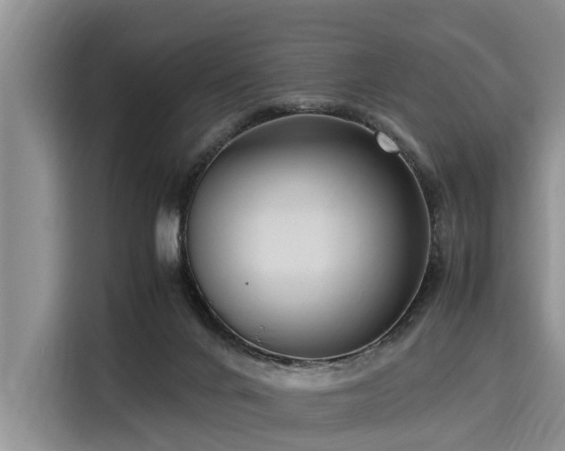 X0000116060024200911271252