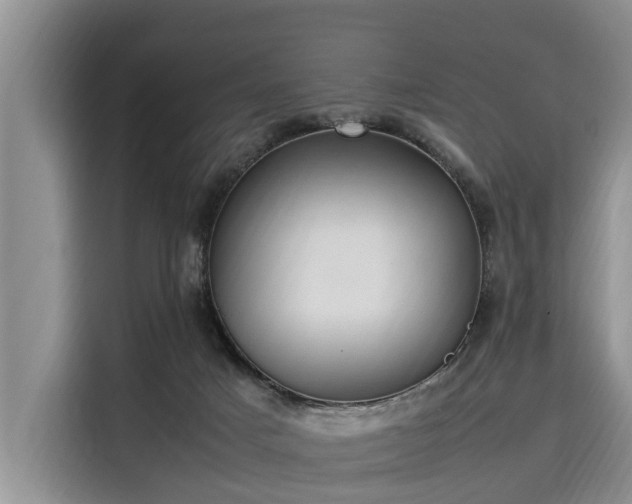 X0000116060025200911271252