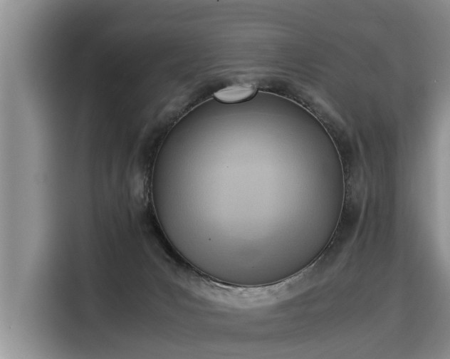 X0000116060031200911271252