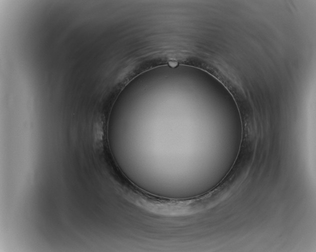X0000116060032200911271252