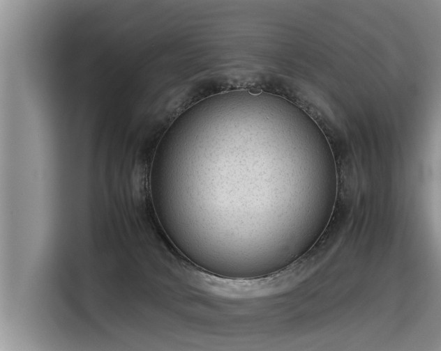 X0000116060034200911271252