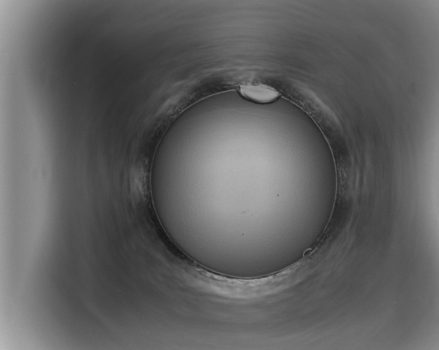 X0000116060035200911271252