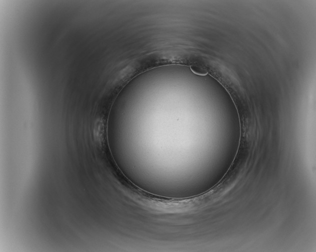 X0000116060036200911271252