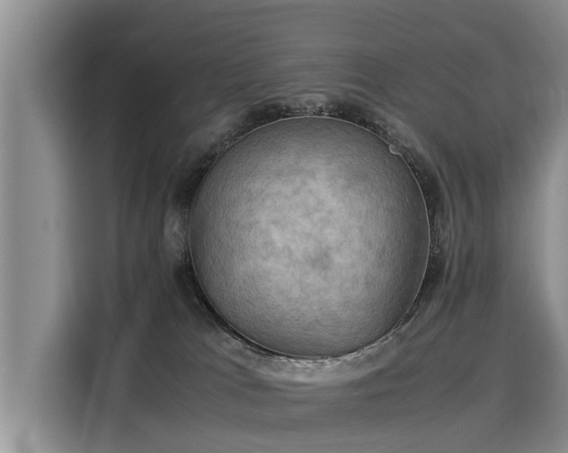 X0000116060037200911271252