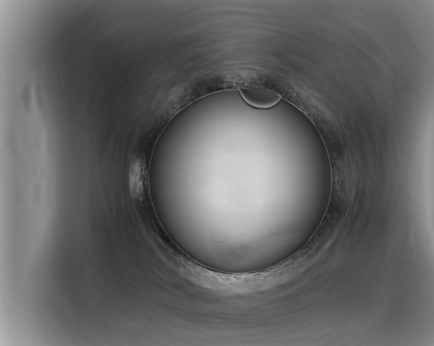 X0000116060038200911271252