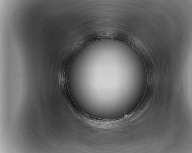 X0000116060040200911271251