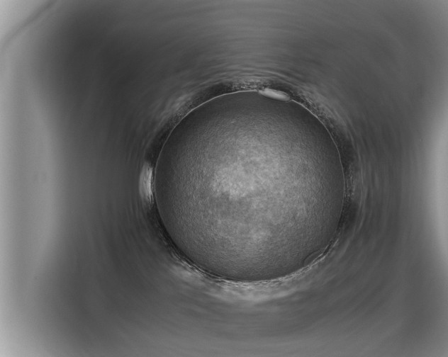 X0000116060041200911271251