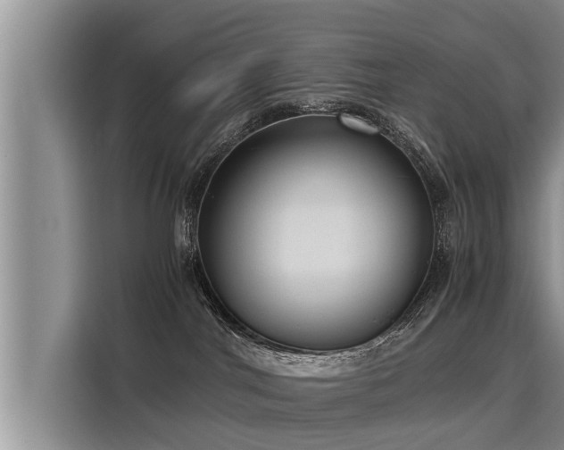X0000116060044200911271251