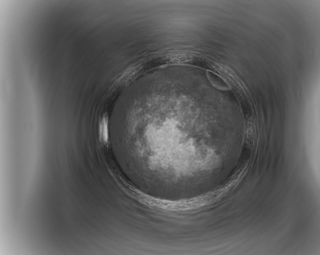 X0000116060046200911271251