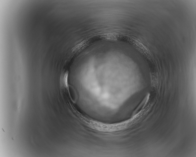 X0000116060047200911271251