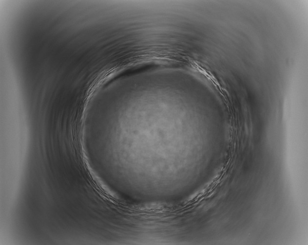X0000116060049200911271251