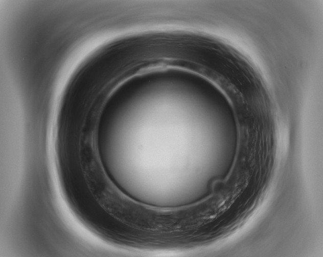 X0000116060050200911271251