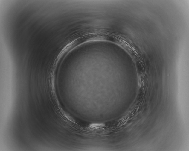 X0000116060051200911271251