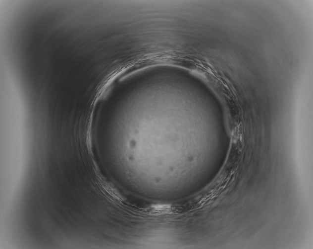 X0000116060052200911271251