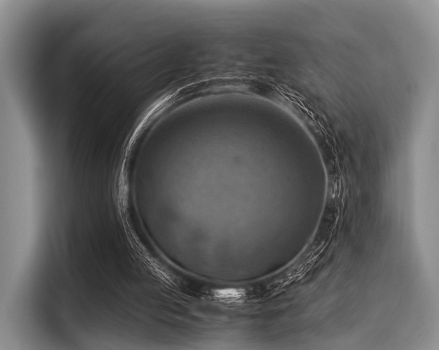 X0000116060053200911271251