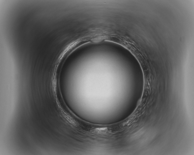 X0000116060054200911271251