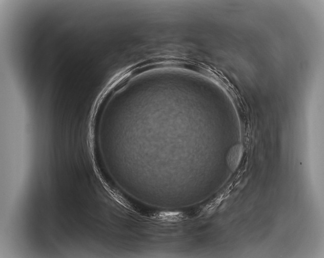 X0000116060055200911271251