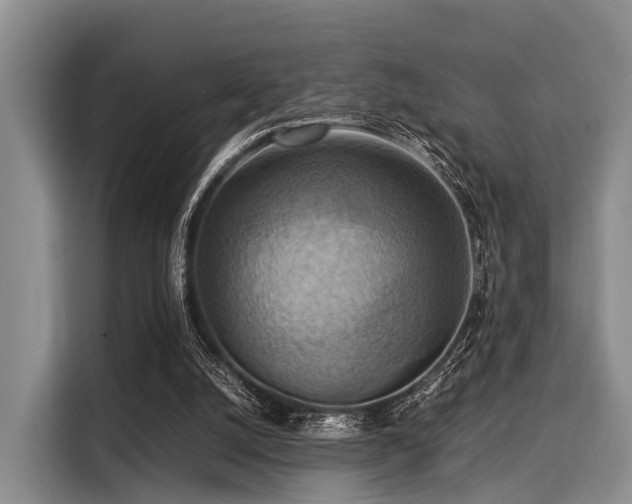 X0000116060056200911271251