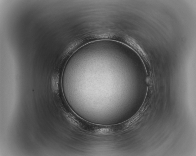X0000116060058200911271251