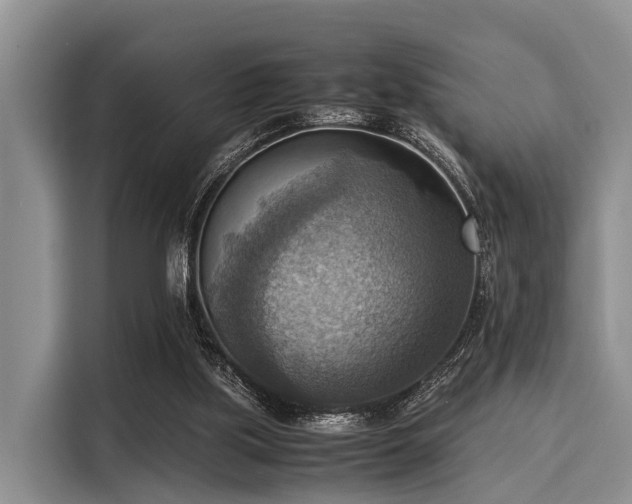 X0000116060059200911271251
