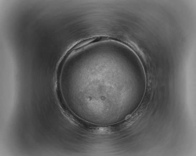 X0000116060060200911271251