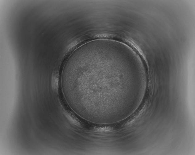 X0000116060063200911271251