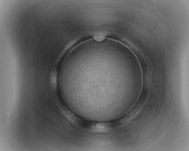 X0000116060064200911271251