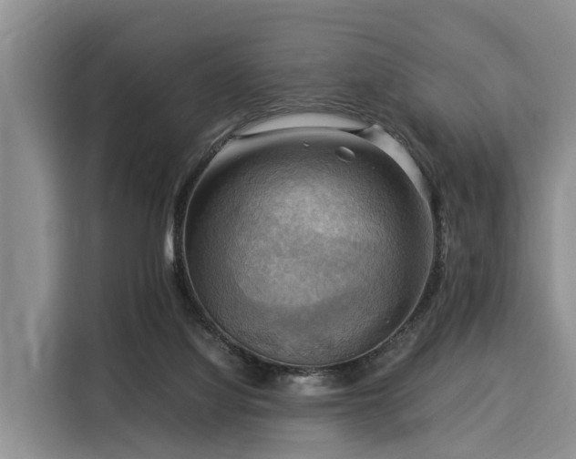X0000116060068200911271251