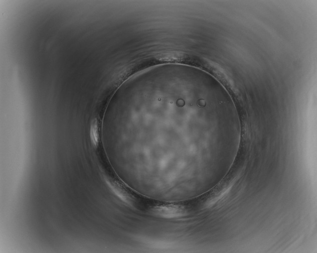 X0000116060069200911271251