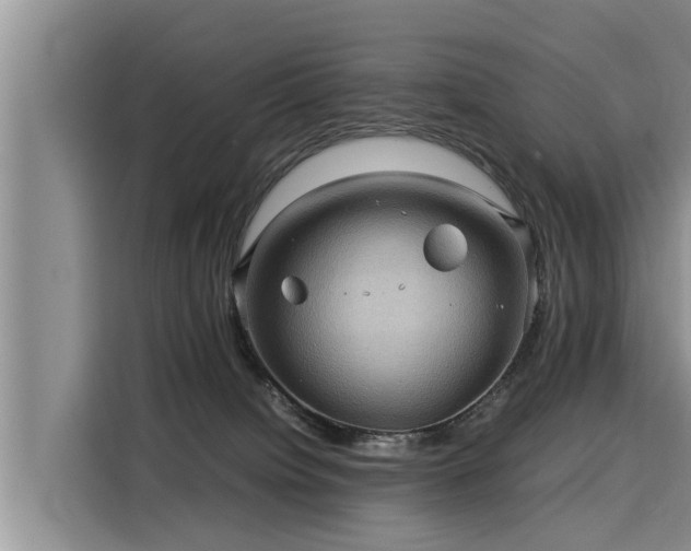 X0000116060084200911271251