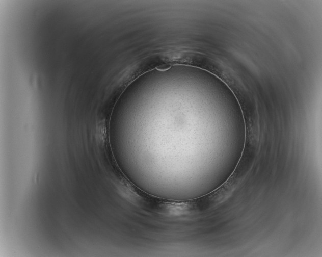 X0000116060085200911271251