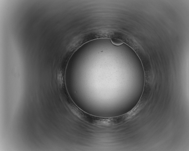 X0000116060086200911271251