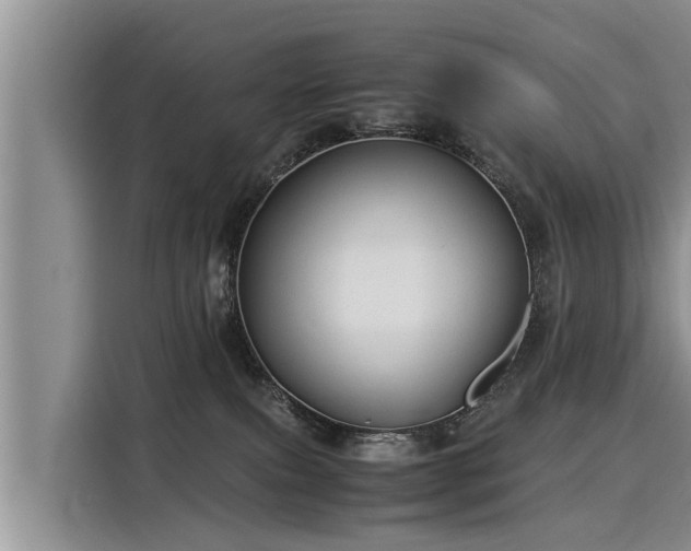 X0000116060087200911271251