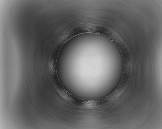 X0000116060088200911271251