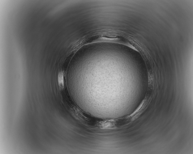 X0000116060094200911271251