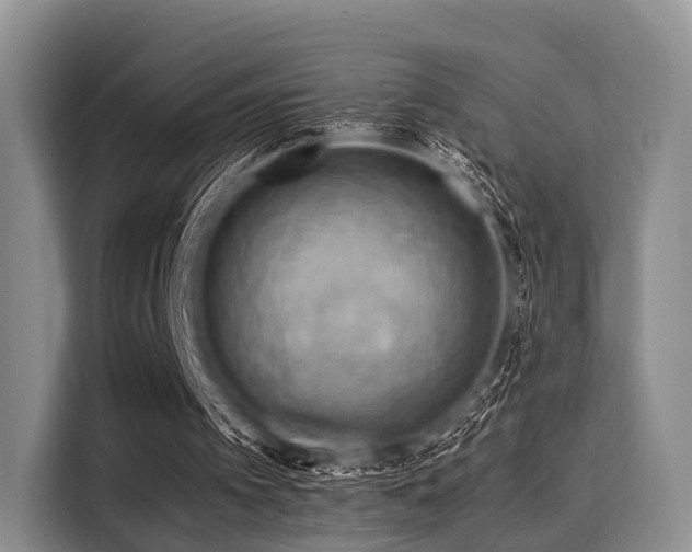 X0000116060097200911271251