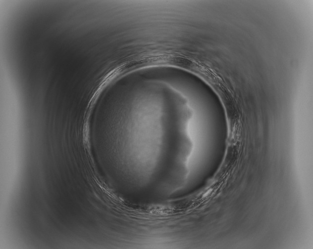 X0000116060099200911271251