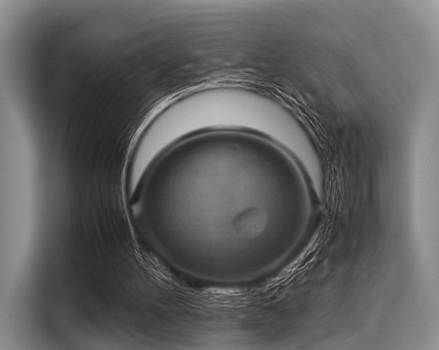 X0000116060100200911271251